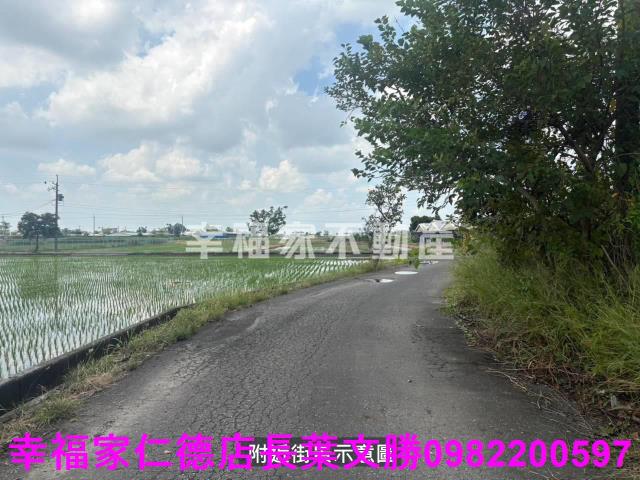 新營雞舍-3