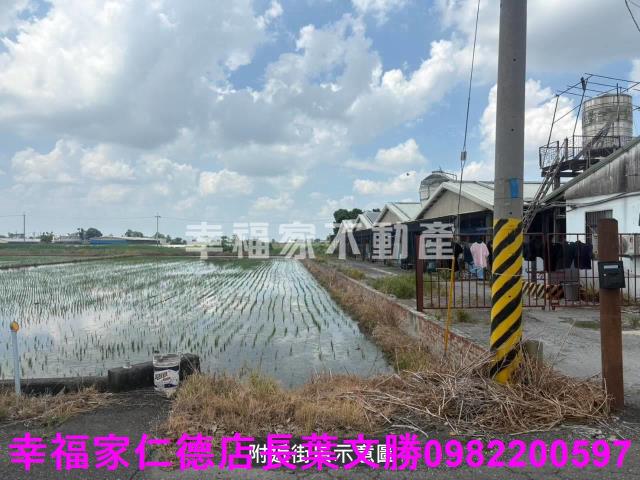 新營雞舍-6