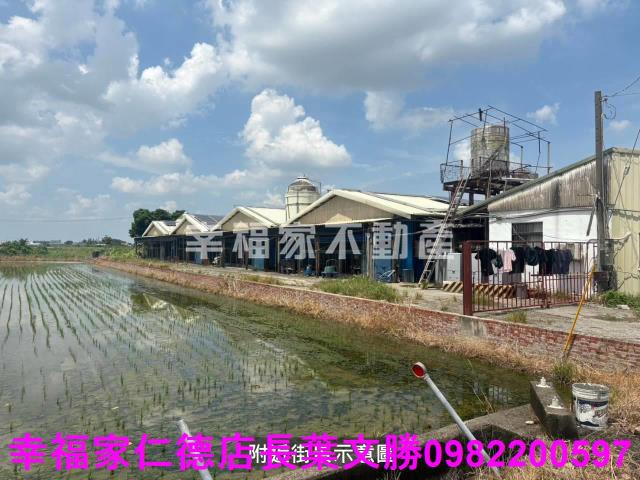 新營雞舍-7