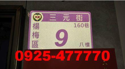 桃園楊梅拍賣華廈-5