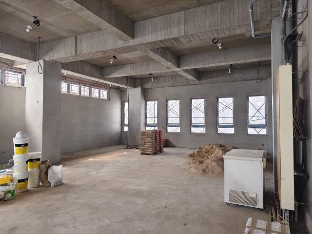 新北新莊廠房-0