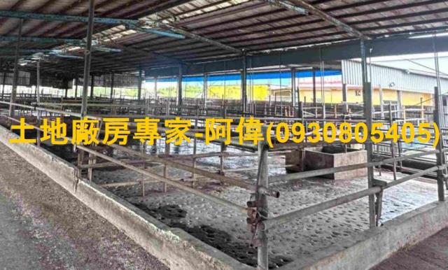 林園畜牧場-0