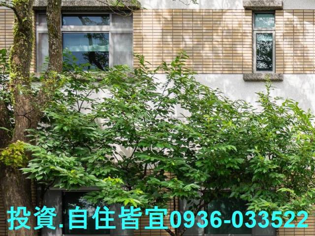 萬里法拍透天-2