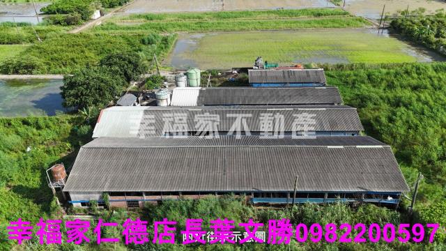 路竹畜牧設施-0