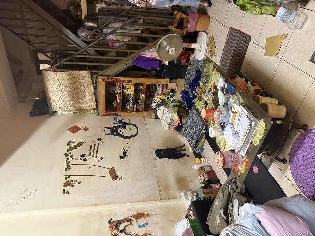台中東勢透天-3