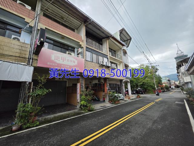 埔里法拍透天_別墅-2