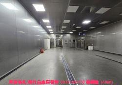 桃園八德廠房-2
