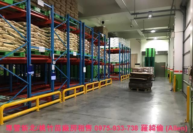 桃園廠房-3