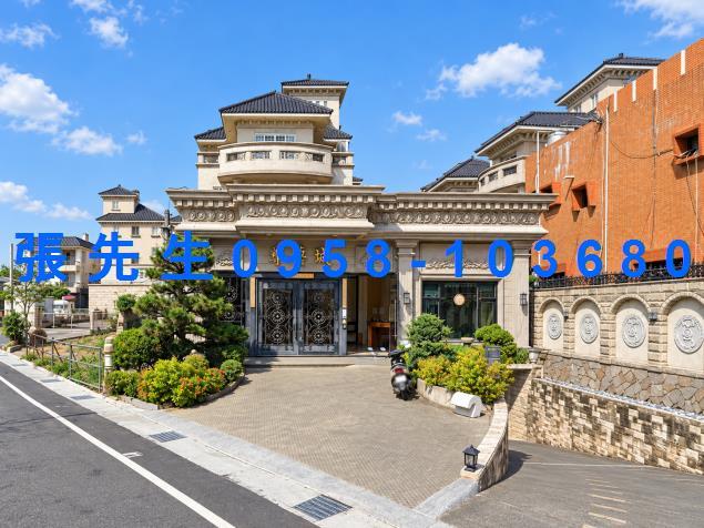 彰化田尾拍賣透天-1