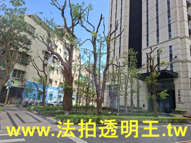 新北大樓法拍-9