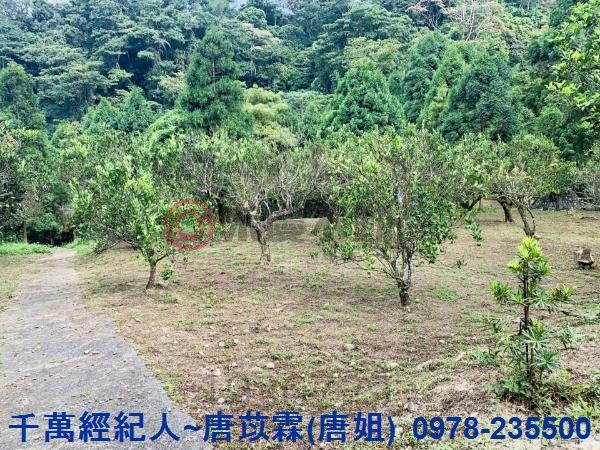 新竹竹東農舍-12