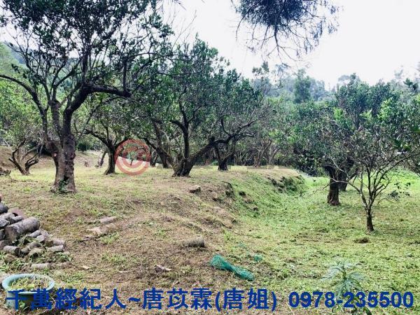 新竹竹東農舍-2