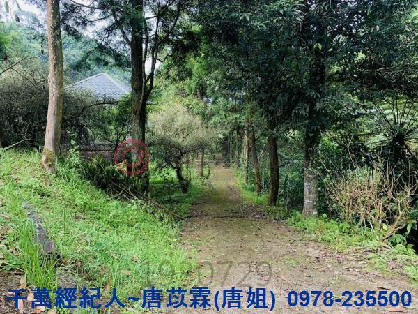 新竹竹東農舍-4