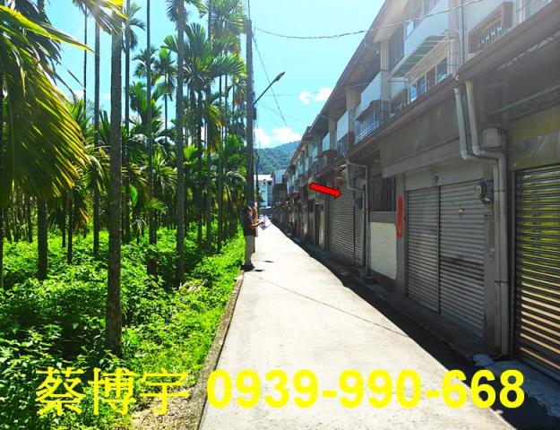 埔里水頭路法拍屋透天