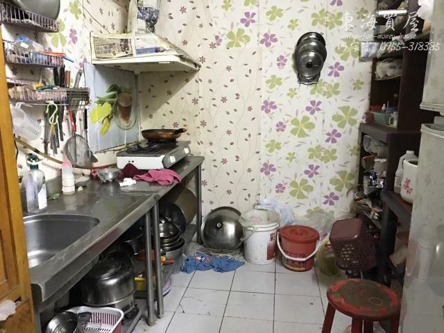 台中大肚透天-8