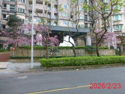 新北法拍大樓-3