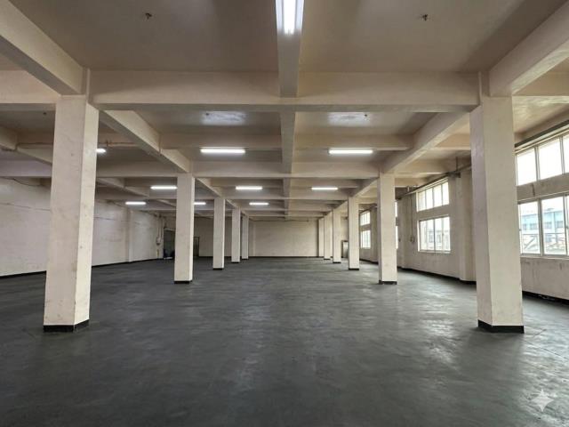 桃園八德廠房_倉庫-2