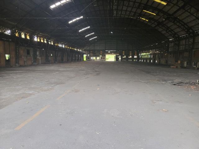 屏東萬丹廠房-2