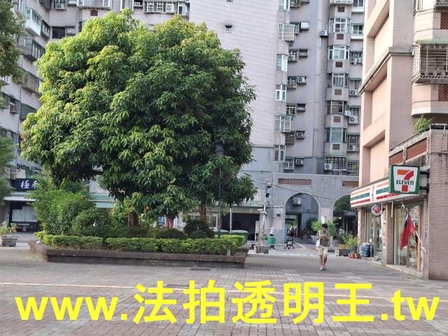中和拍賣大樓-4