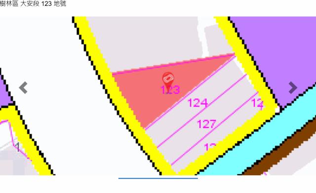 樹林透天_附大地坪土地法拍-9