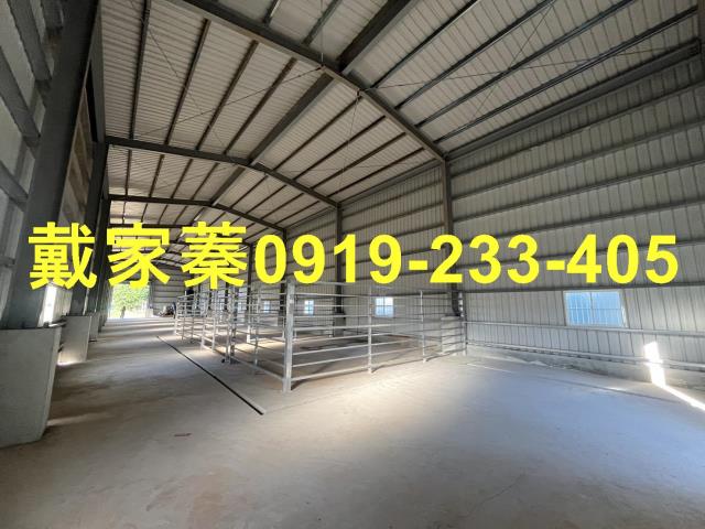 桃園倉庫_畜牧合法鹿場-3