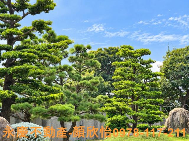 新竹竹北農舍-5