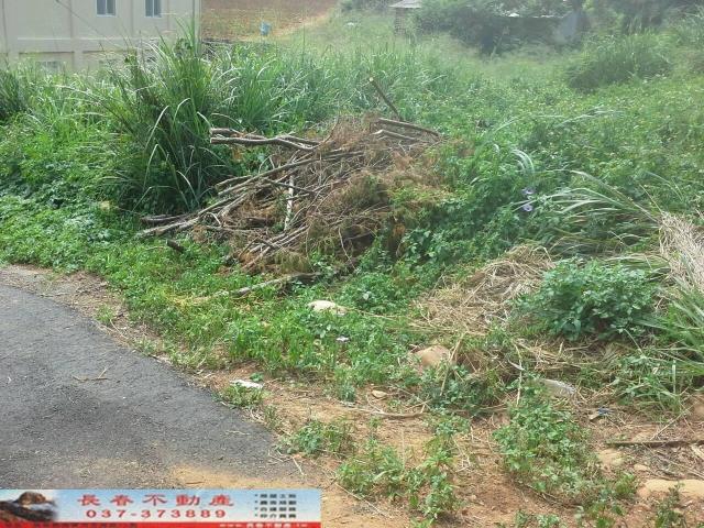 苗栗銅鑼農地-4