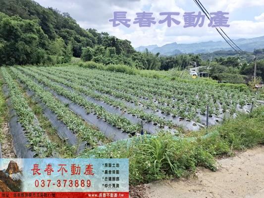 大湖建地-2