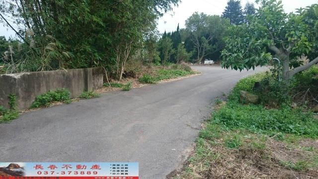 苗栗農地-7