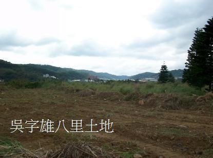 新北八里農地-5