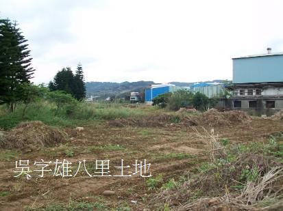 新北八里農地-9