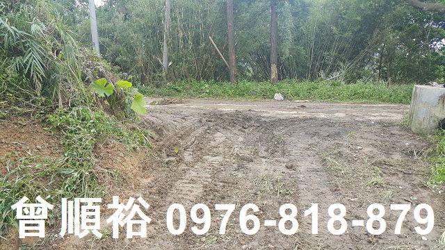 竹東農地-2