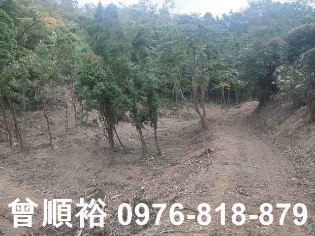 竹東農地-11