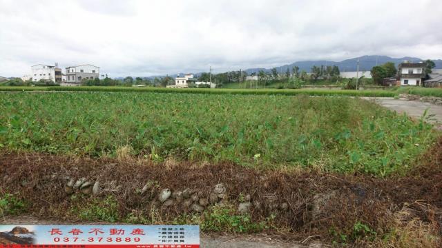 公館農地-6