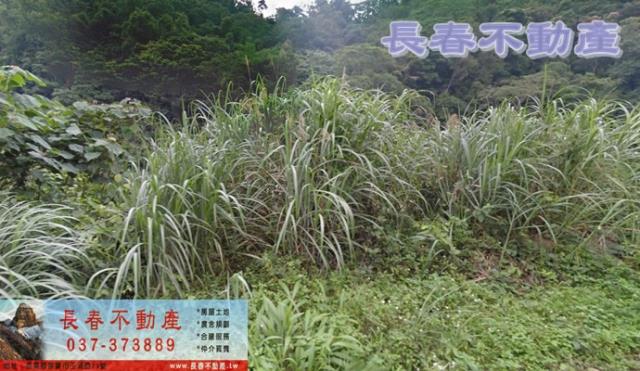 8F233大湖農牧用地