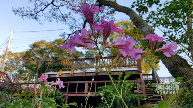 峨眉農地_休閒地-11