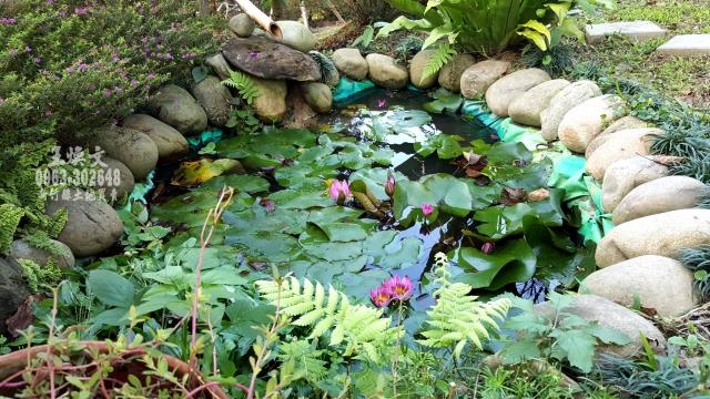 峨眉農地_休閒地-9