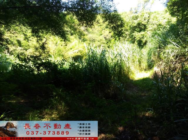 頭屋農地-4