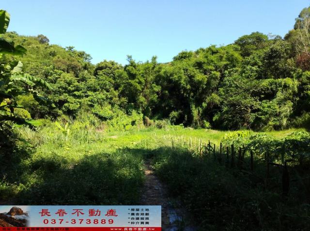 頭屋農地-7