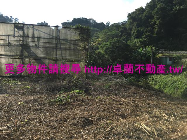苗栗大湖農地-6