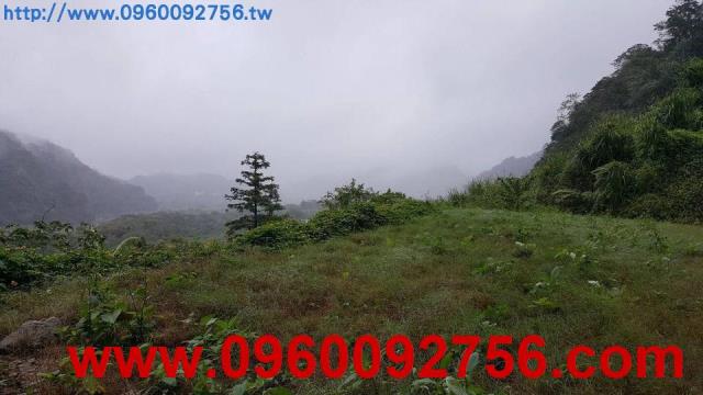 橫山農地-2