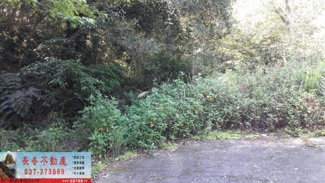苗栗頭屋山坡地-2