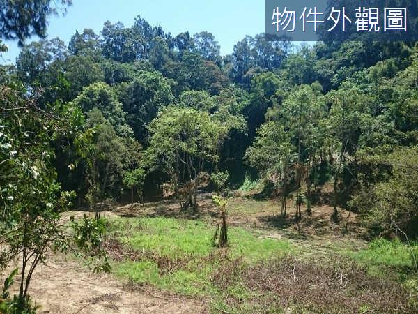 新竹休閒地-2