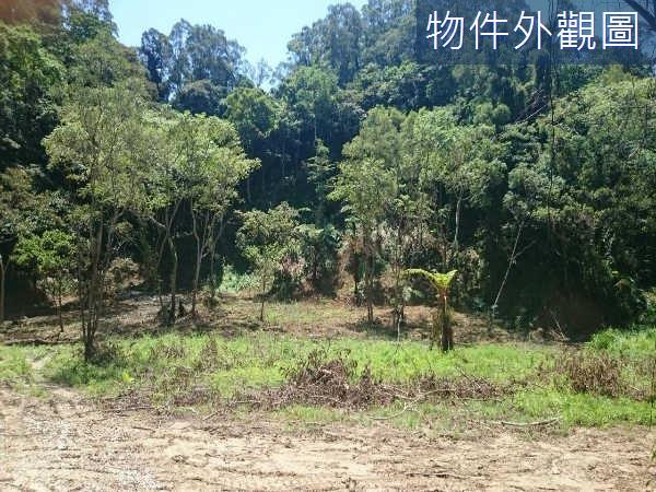 新竹休閒地-3