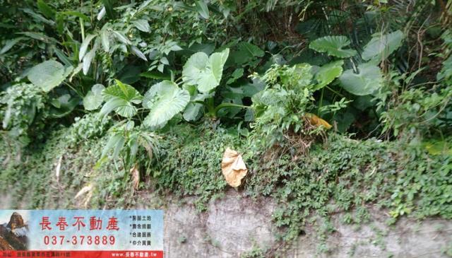 苗栗山坡地-2