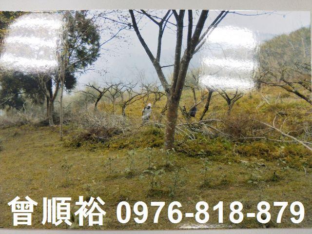 五峰農地-1