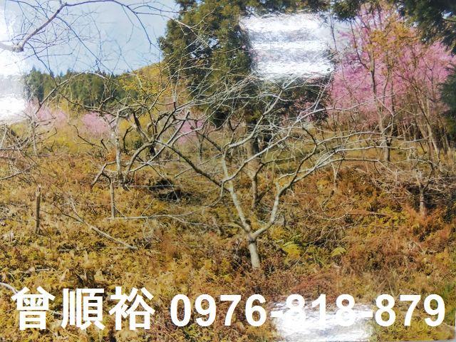 五峰農地-3