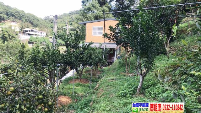 新竹關西農地-7