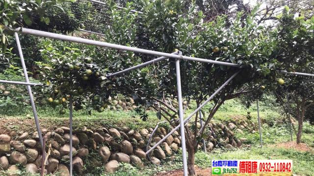 新竹關西農地-8