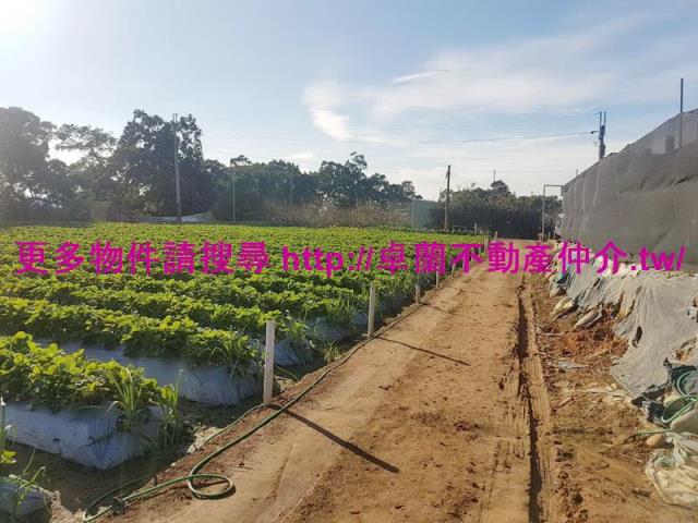 苗栗農地-7